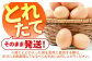 卵 たまご 玉子 タマゴ 定期便 12か月 卵かけご飯 12回 12ヶ月