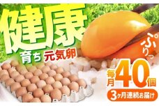 【3回定期便】お茶と海藻で健康育ち 元気卵 120個（40個×3回） / たまご タマゴ 玉子 鶏卵 / 亀山市 / 藪本養鶏園  [AMBH005]