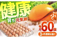 元気卵 180個（60個×3回）【3回定期便】 / たまご タマゴ 玉子 鶏卵 / 亀山市 / 藪本養鶏園 [AMBH006]
