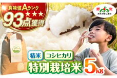特別栽培米 かぶとのおこめ 精米 5kg お米 白米 亀山市/かぶとの森テラス [AMAD009]