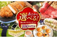 【あとから選べる】 三重県亀山市ふるさとギフト 100万円分  / 豚肉 牛肉 スイーツ 柿安牛 亀山茶 LIVRE あとから ギフト / 亀山市 [AMCA009]