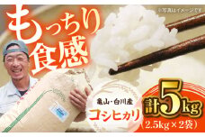 おいしい！亀山・白川産コシヒカリ 5kg 亀山市/せせらぎの里営農組合 お米 コシヒカリ 送料無料 [AMAX003]