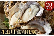 I-55生食用浦村牡蠣２０個入りセット（冷凍）