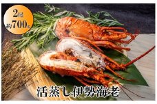 L-13伊勢海老の活蒸し　2尾セット