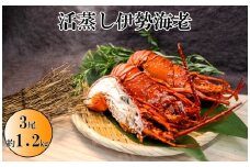 O-9伊勢海老の活蒸し　3尾セット