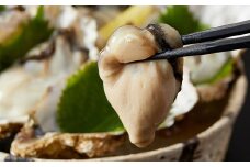 17-04生食用　殻つき牡蠣20個　剥き身500ｇ