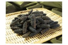 1000-02乾燥なまこ（干しなまこ）A級品　２Lサイズ