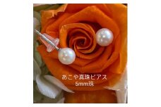 10-80あこや真珠ピアス