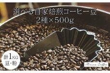 20-94自家焙煎コーヒー豆 選べる2種×500g 合計１kg コーヒー豆 粉 飲み比べ
