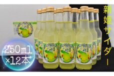 三重県熊野市産 新姫 サイダー 250ｍｌ × 12本【frsn0018】
