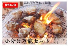 地鶏 鶏肉 カット不要 熊野地鶏 小分け 万能セット 600g(200g×3) 肉 鶏肉 鳥肉 とり肉 地鶏 焼き鳥 焼鳥 炭火焼鳥 炭火焼き 鍋 お鍋 惣菜 おかず 小分けパック 国産 名古屋コーチン 伊勢赤どり 三重県 熊野市【frsn0001】