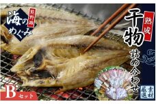 熊野干物詰め合わせ 海の恵み B 鯛 サンマ アジ カマス ブリ カワハギ スルメ 人気 干物セット【hatt0002】
