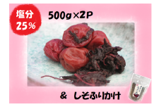 梅干し 熊野乃梅 昔ながらの梅（塩分25％）500ｇ×2Pとしそふりかけ【snby0002】