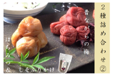 梅干し 熊野乃梅 2種詰合せ② 昔ながら（塩分25％） はちみつ（塩分8％） しそふりかけ【snby0010】