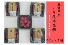 梅干し 無添加 小分けタイプ 昔ながらのすっぱいしそ漬け梅干し　110g×５【frsn0003】