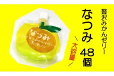 果肉入り 贅沢 みかんゼリー なつみ 48個 化粧箱なし ご家庭用【kmkn0071】