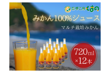 糖度12度以上【 マルチ栽培 みかん ストレートジュース 12本 】720ml × 12本 段ボール箱 温州 みかん 100% オレンジジュース ご自宅用 子供 三重県 熊野市【kmkn0078】