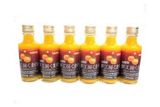 【 マルチ栽培 みかん ストレートジュース ： ミニ 18本 】 180ml × 6本 の 化粧箱入り × 3 セット 温州 みかん 100% オレンジジュース ギフト プレゼント 贈答用 三重県 熊野市【kmkn0082】