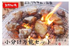 地鶏 鶏肉 カット不要 熊野地鶏 小分け 万能セット 1.2㎏(200g×6) 肉 鶏肉 鳥肉 とり肉 地鶏 焼き鳥 焼鳥 炭火焼鳥 炭火焼き 鍋 お鍋 惣菜 おかず 小分けパック 国産 名古屋コーチン 伊勢赤どり 三重県 熊野市【frsn0002】