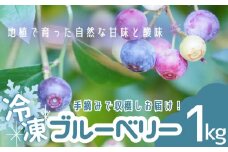 無農薬 童集乃村 ブルーベリー 冷凍 1㎏ フルーツ 果物 くだもの スムージー ジャム 朝食 デザート 特産品 人気 国産 旬 三重県 熊野市　【mnak0002】