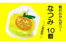 【さわやか甘夏みかんゼリー「なつみ」10個】ご家庭用【kmkn0158】