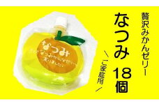 2【さわやか甘夏みかんゼリー「なつみ」18個】ご家庭用【kmkn0155】