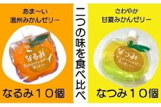 二つの味を食べ比べ！ みかんゼリー【「なるみ」「なつみ」各10個】ご家庭用【kmkn0159】