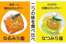 二つの味を食べ比べ！【「なるみ」「なつみ」各5個】ご家庭用【kmkn0160】