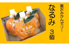 贅沢ゼリー3個セット【「なるみ」3個箱入り】ミニセットが欲しい！リクエストにお応えしました。【kmkn0162】