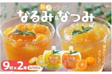 贅沢ゼリー詰め合わせ18個【「なるみ」「なつみ」18個】ご家庭用【kmkn0161】