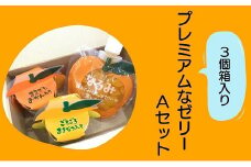 【夢工房くまのプレミアムなゼリーAセット☆3個箱入り】ミニセットが欲しい！リクエストにお応えしました。【kmkn0165】