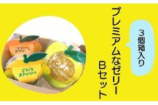 【夢工房くまのプレミアムなゼリーBセット☆3個箱入り】ミニセットが欲しい！リクエストにお応えしました。【kmkn0166】