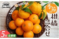 【定期便】自然塾 季節の柑橘詰合せ 5回定期便 みかん ミカン 温州みかん フルーツ 果物 くだもの 柑橘 不知火 せとか 果物定期便 フルーツ定期便 果物セット フルーツセット 甘い 濃厚 産地直送 数量限定 人気 国産 三重県 熊野市【szjk-tkb0004】