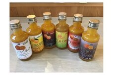 みかんジュース専門店「夢工房くまの」6種飲み比べ☆みかんジュースミニ180ml×6本 化粧箱なし みかん 100% オレンジジュース ご自宅用 三重県 熊野市【kmkn0180】
