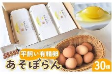 卵 平飼い有精卵 あそぼらん 30個 卵 たまご 玉子 タマゴ 卵焼き 玉子焼き 卵料理【asit0001】