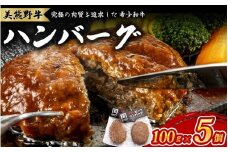 美熊野牛 100％ ハンバーグ 100g×5個 牛肉 肉 ハンバーグ 惣菜 お惣菜 ブランド牛 和牛 黒毛和牛 国産牛 霜降り 赤身 おかず 小分け 簡単調理 人気 希少 おすすめ 三重県 熊野市【okad0007】