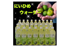 乾いたカラダを潤す♪ にいひめウォーター ５１０ml × ２４本 入【frsn0014】