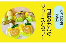 さっぱり系みかん！甘いのが苦手な方にオススメ☆甘夏みかんのジュースとゼリー オレンジジュース みかんゼリー 【kmkn0201】