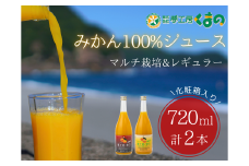 完熟 温州みかん 使用！ 無添加 ストレートジュース マルチ ･ レギュラー 2種 セット 720ml × 2本 ( 化粧箱 入り )　温州 みかん 100% オレンジジュース  ギフト プレゼント 贈答用 三重県 熊野市【kmkn0204】