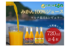 完熟 温州みかん 使用！ 無添加 ストレート ジュース マルチ ･ レギュラー 2種セット 720ml × 4本 ( 2本 × 2箱　化粧箱 )　温州 みかん 100% オレンジジュース  ギフト プレゼント 贈答用 三重県 熊野市【kmkn0205】