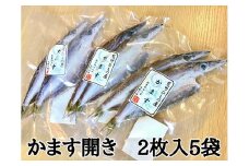熊野の老舗干物屋　畑辰商店【かます開き☆2尾入り】×5袋【kmkn0252】