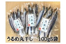 熊野の老舗干物屋　畑辰商店【うるめ丸干し☆100ｇ入り】×5袋【kmkn0258】