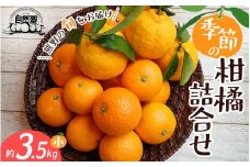 自然塾 季節の柑橘詰合せ 約3.5㎏ みかん ミカン 温州みかん フルーツ 果物 くだもの 柑橘 不知火 せとか 果物セット フルーツセット 甘い 濃厚 産地直送 数量限定 人気 国産 三重県 熊野市【szjk0003】