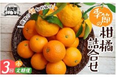 【定期便】自然塾 季節の柑橘詰合せ 小 3回定期便  みかん ミカン 温州みかん フルーツ 果物 くだもの 柑橘 不知火 せとか 果物定期便 フルーツ定期便 果物セット フルーツセット 甘い 濃厚 産地直送 数量限定 人気 国産 三重県 熊野市  【szjk-tkb0005】