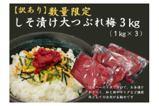 【訳あり】数量限定　しそ漬け大つぶれ梅　3kｇ【frsn0011】