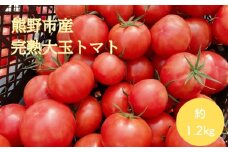 【2026年1月以降配送】熊野薬草園の大玉トマト（1.2kg） トマト 大玉トマト 熊野 予約受付【kmys0005】