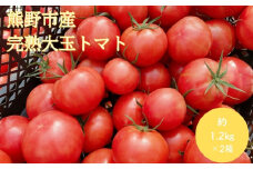 【2026年1月以降配送】熊野薬草園の大玉トマト（1.2kg×2箱） トマト 大玉トマト 熊野 予約受付【kmys0006】