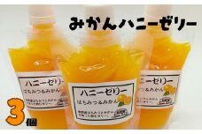 自然塾　みかん ハニーゼリー　３個入り【szjk0004】