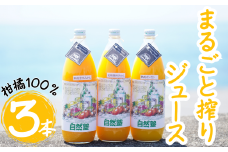 自然塾　柑橘100%まるごと絞りジュース　３本入り　みかんジュース オレンジ ポンカン 不知火 温州 ドリンク 飲料 飲み物 朝食 無添加 季節 旬【szjk0008】
