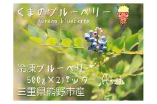 【先行受付】くまのブルーベリー 冷凍  1㎏(500g×2) フルーツ 果物 くだもの スムージー ジャム 朝食 デザート 特産品 人気 国産 旬 熊野精工 三重県 熊野市 【kmsi0006】